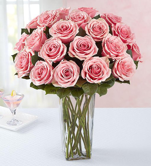 Pink Roses