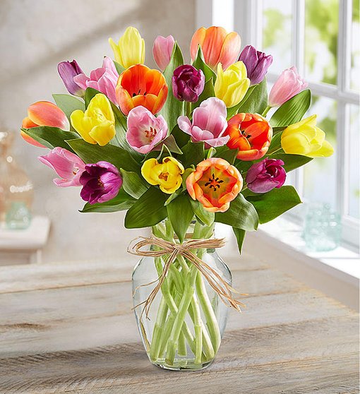 Tulips in a Vase