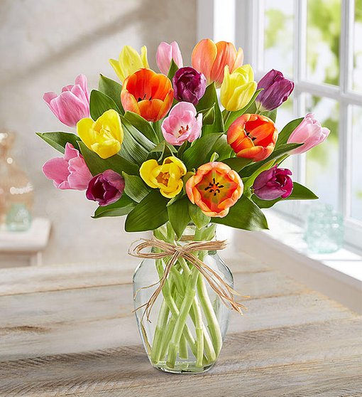 Tulips in a Vase