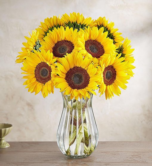 Girasol en un florero