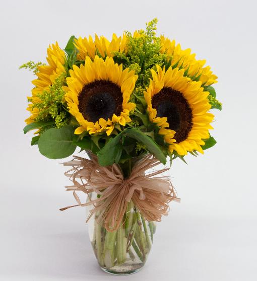 Sunflower in a Vase