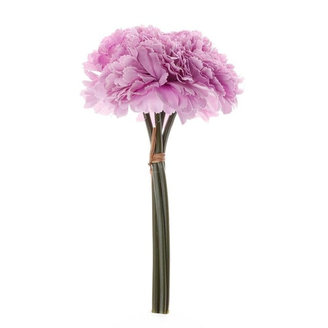 Carnation Assorted