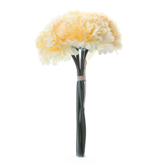 Carnation Assorted